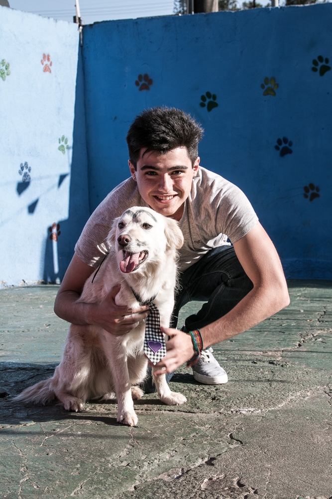 Creche Day Care Preço em Itaquera - Dog Resort