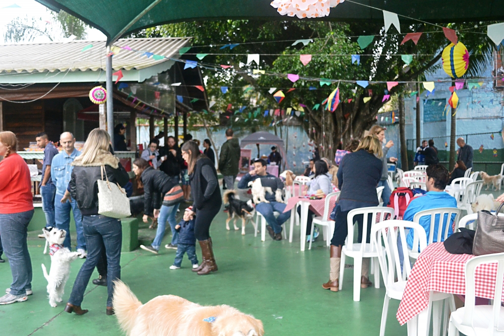 Creche de Cão Água Azul - Serviços de Creche para Cachorro