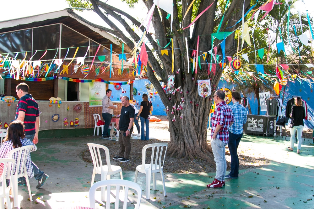 Day Care em Animais na Lauzane Paulista - Day Care em São Paulo