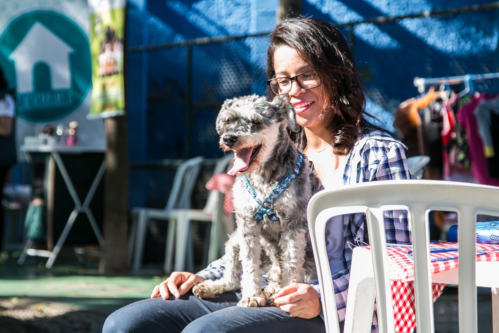 Day Care em Animal no Campo Belo - Hotel Day Care