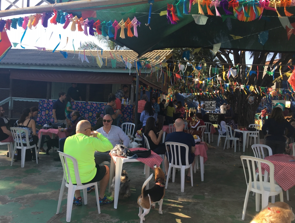 Day Care em São Paulo Preço no Mandaqui - Day Care para Cães