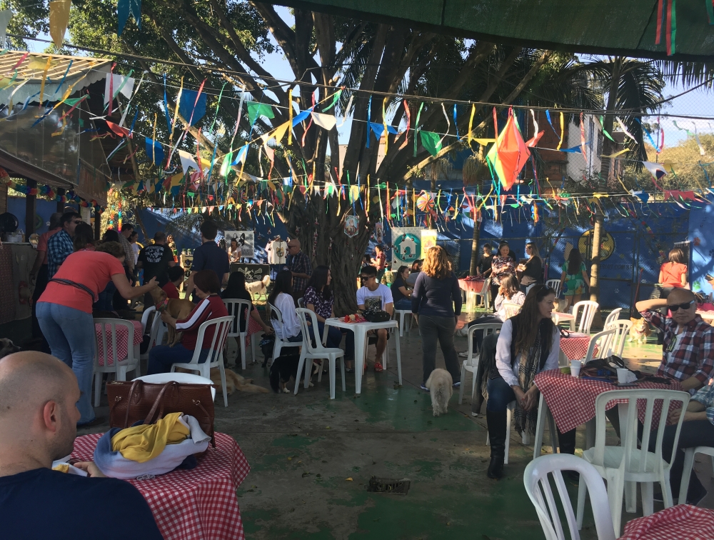 Day Care em Sp no Jardim Paulista - Day Care em São Paulo