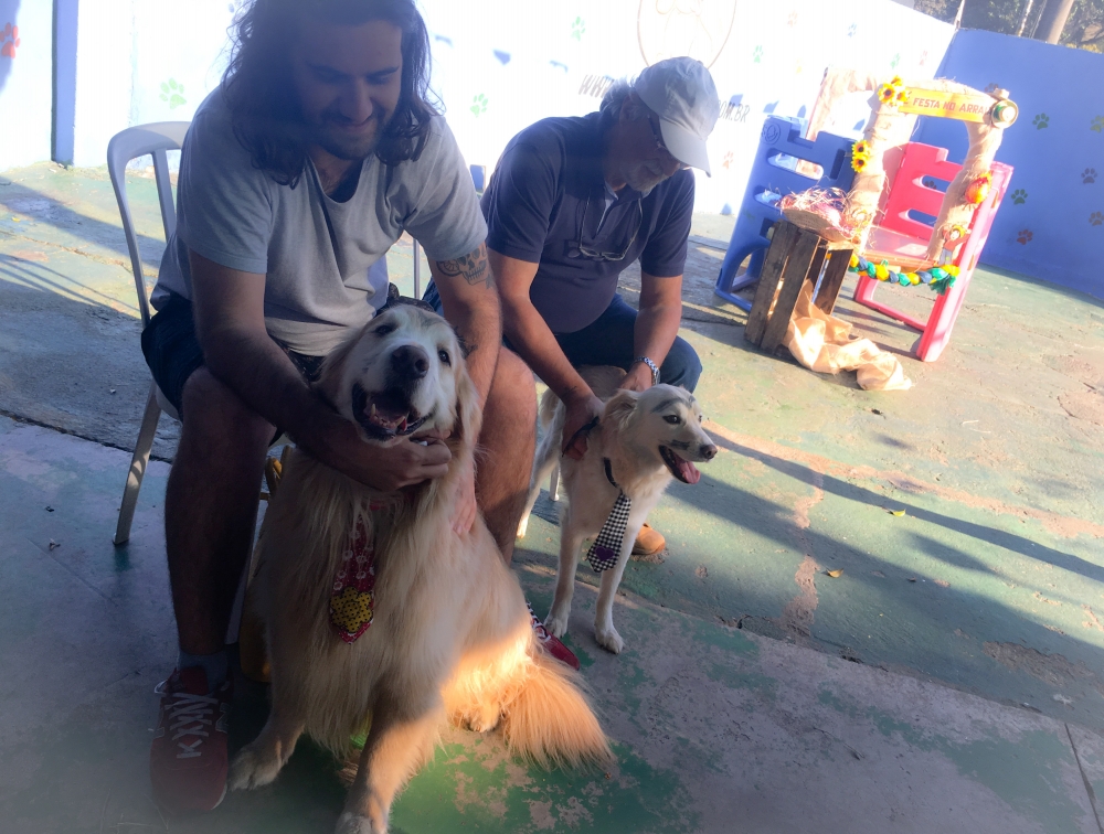 Day Care Pet Shop Preço Vila Augusta - Day Care em Animais