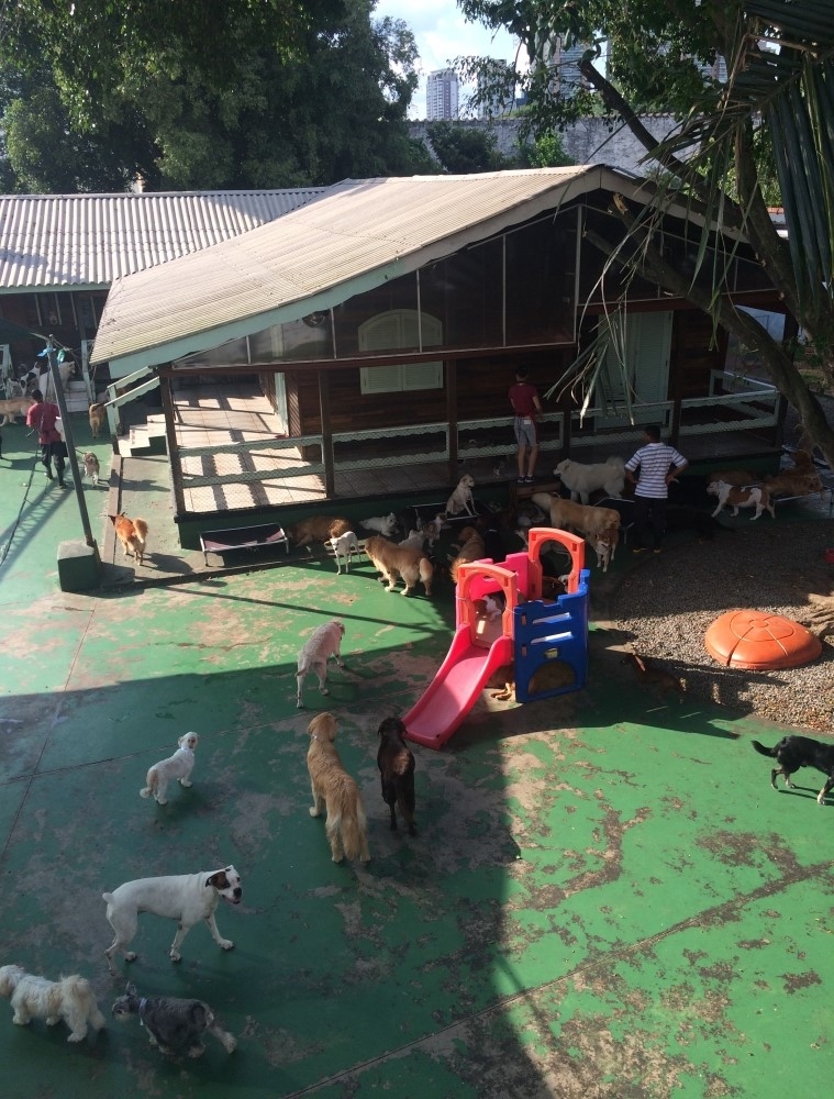 Day Cares Água Azul - Creche Day Care