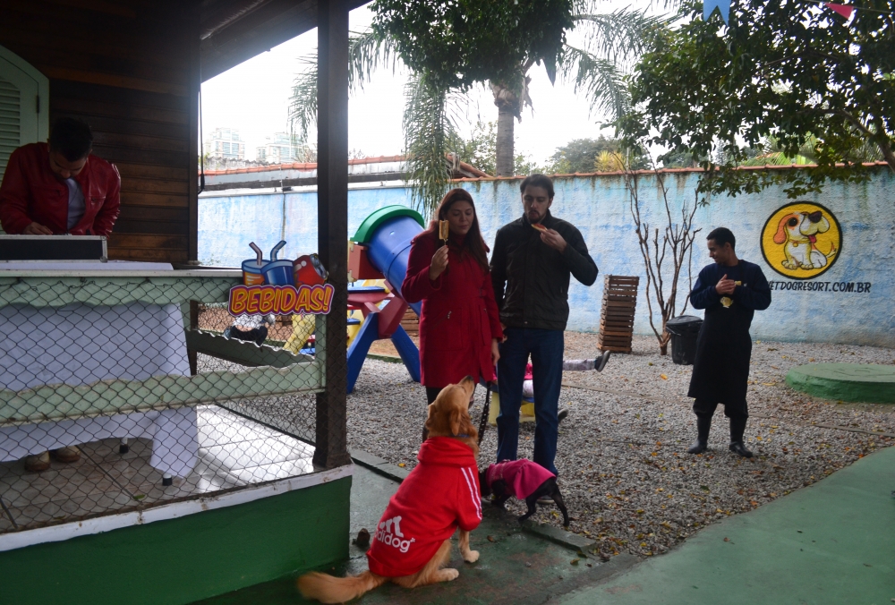 Hotéis para Cães em Sp na Aclimação - Hotel Creche de Cães