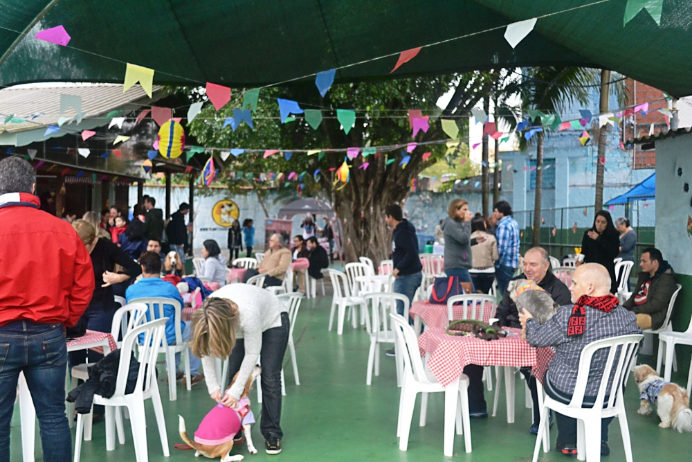 Hotel de Cães Preço na Sé - Clube Hotel para Cães