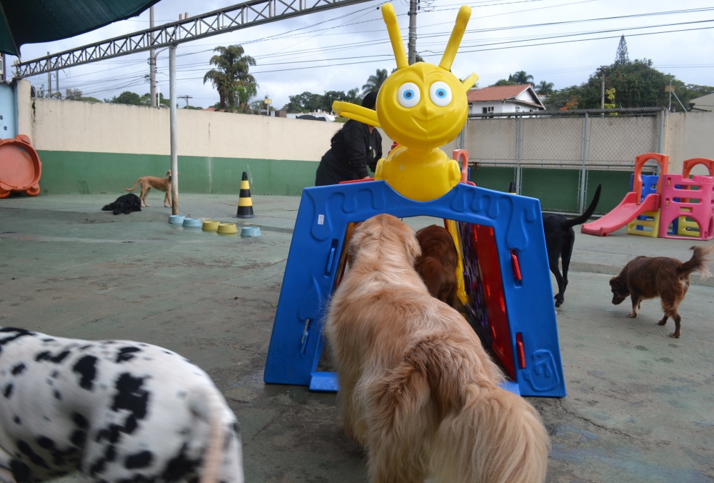 Hotel Fazenda para Cachorro Preço no Jardim América - Hospedagem de Cachorro