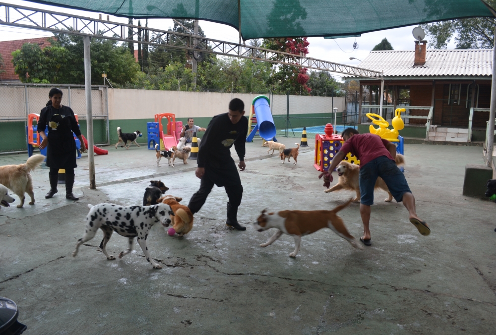 Hotel para Cachorro em São Paulo Preço no Parque do Carmo - Hospedagem de Cachorro