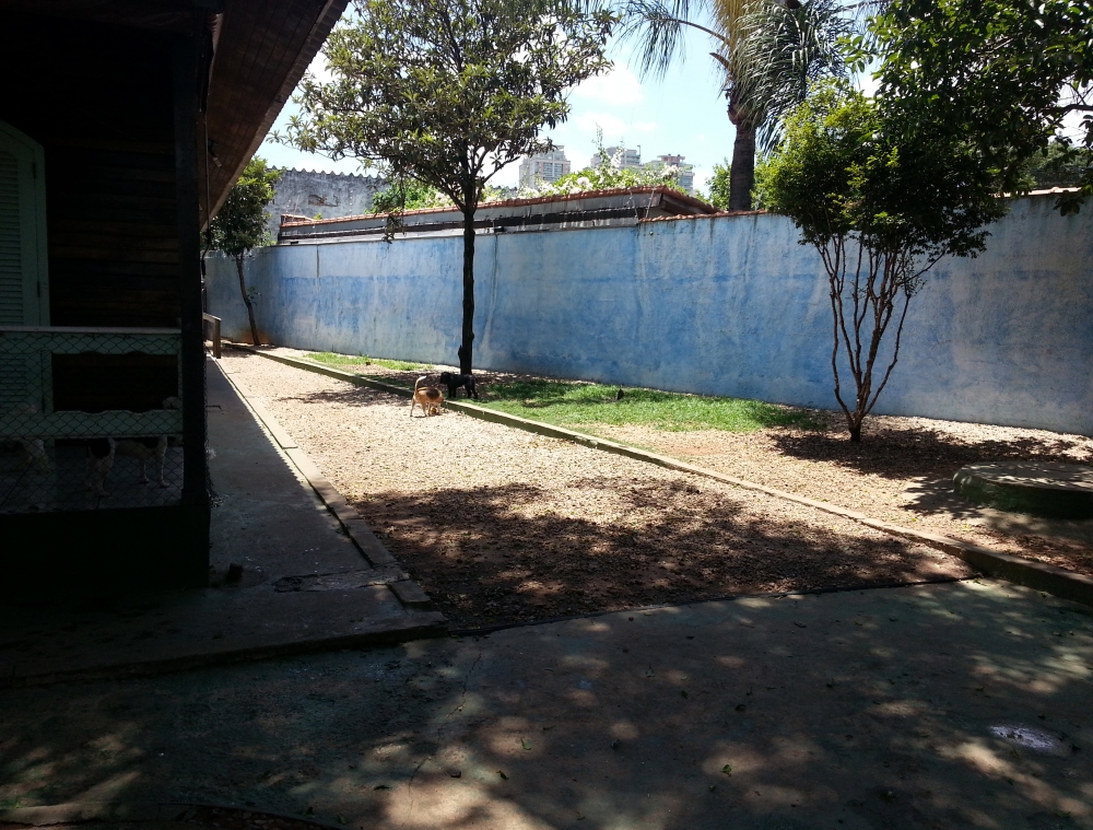 Hotel para Cachorro no Brooklin no Ibirapuera - Hotel para Cachorro Diária