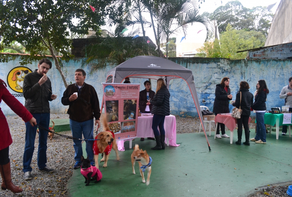 Hotel para Cães em Sp Preço Maia - Clube Hotel para Cães