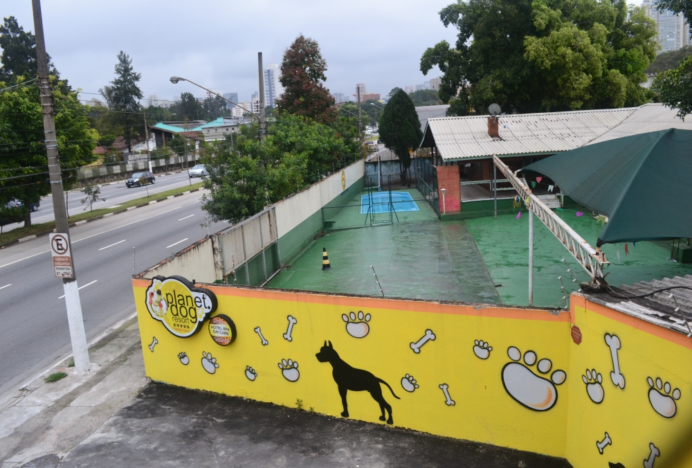 Onde Encontrar Creche de Cães em Santo Amaro - Creche de Cachorro