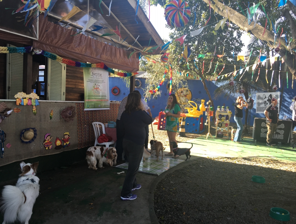 Onde Encontrar Day Care em São Paulo no Cambuci - Creche Day Care