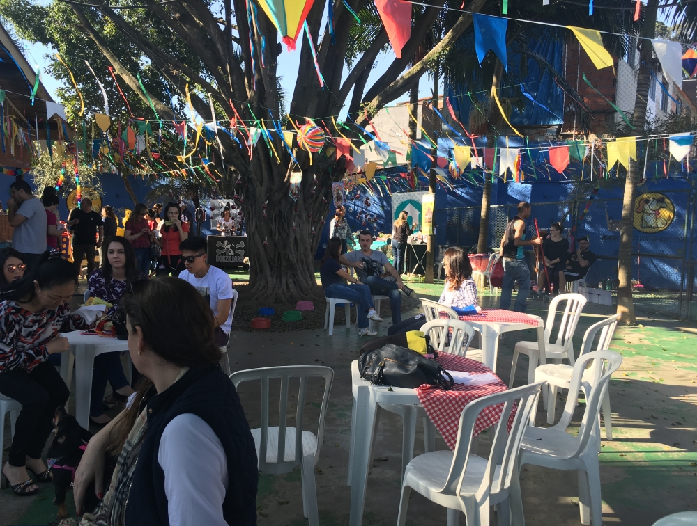 Onde Encontrar Day Care em Sp na República - Day Care para Cães