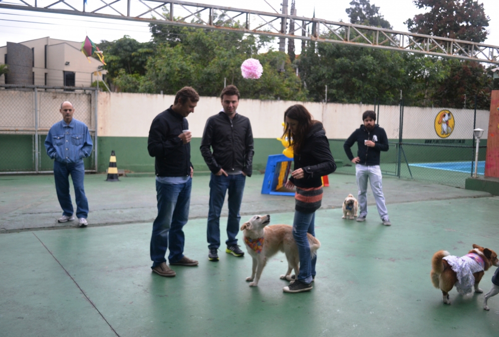 Onde Encontrar Hotel de Cães na Vila Leopoldina - Resort de Cães