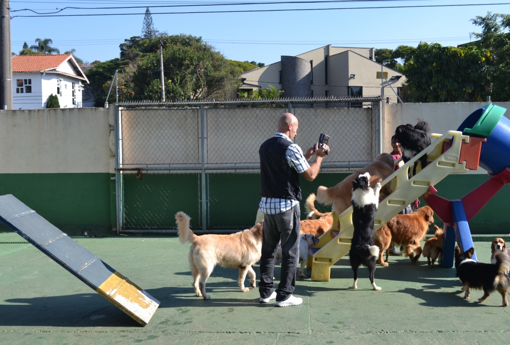 Quanto Custa Creche Canina Bosque Maia - Serviços de Creche para Cachorro