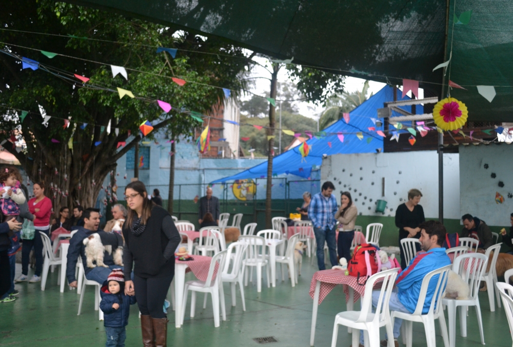 Quanto Custa Creche de Cães no Rio Pequeno - Creche com Day Care para Cachorro