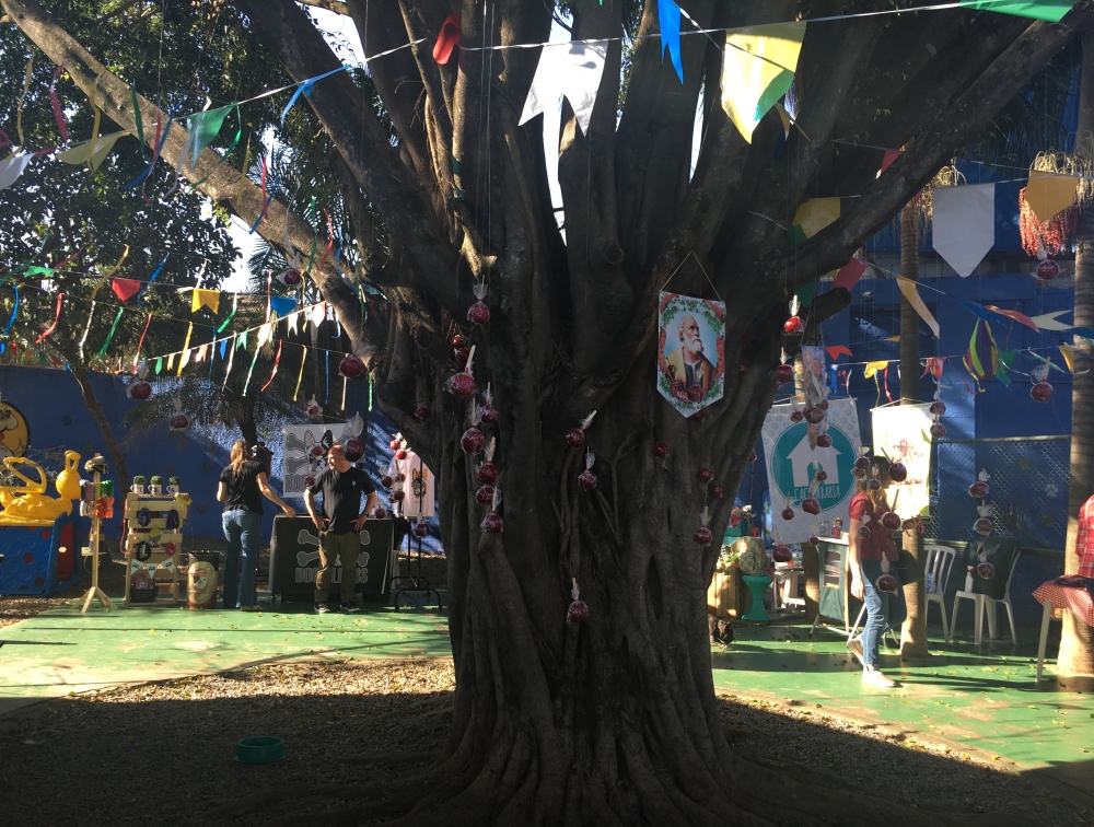 Quanto Custa Day Care em São Paulo no Mandaqui - Day Care Canino