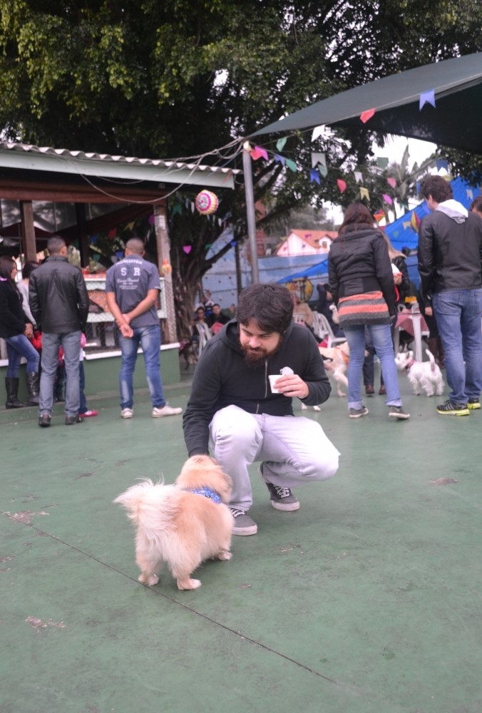 Quanto Custa Hotel de Cães no Bom Retiro - Hospedagem de Cães