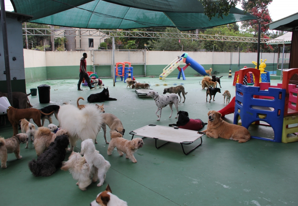 Quanto Custa Resort de Cães Monte Carmelo - Hotel para Cães em São Paulo