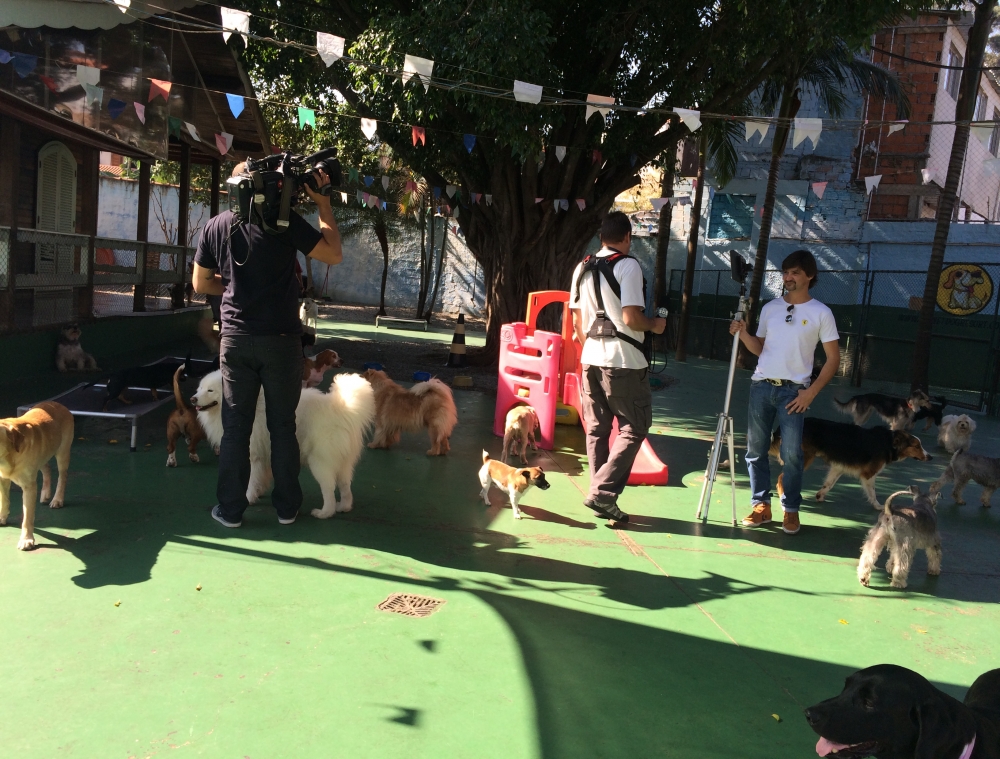 Spa para Cães no Morumbi - Pet Spa