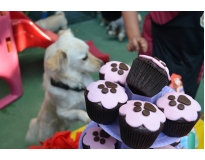 creche para animais preço no Pacaembu