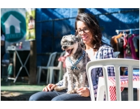 day care em animal no Campo Grande