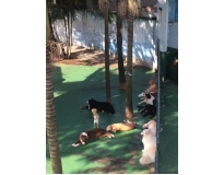 daycare preço Gopoúva