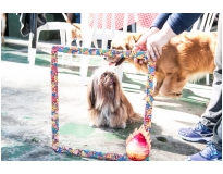 espaços day care na Lauzane Paulista