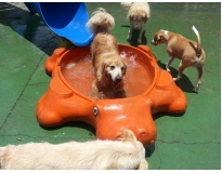 hotéis para cachorro preço no Jardim Bonfiglioli