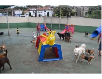 hotéis para cachorros em são paulo no Jardins