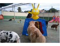 hotel fazenda para cachorro preço em Jaçanã