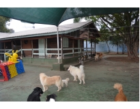 hotel fazenda para cachorro na Casa Verde