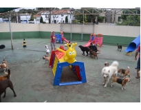 hotel para cachorro