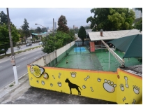 onde encontrar creche de cães Vila Augusta