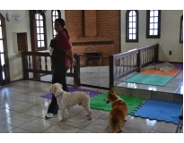 onde encontrar creche para animais Água Azul