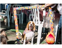 onde encontrar espaço day care na Vila Andrade