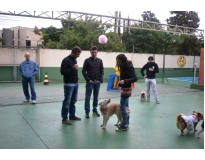 onde encontrar hotel de cães no Parque do Carmo