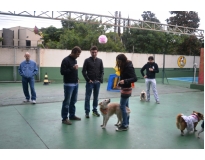 onde encontrar hotel de cães na Vila Curuçá