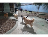 onde encontrar hotel fazenda para cachorro Invernada