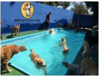 onde encontrar hotel para cachorro no Sacomã