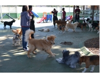 onde encontrar hotel pra cachorro no Aeroporto