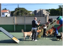 quanto custa creche canina na Casa Verde