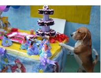 quanto custa creche para animais no Alto da Lapa