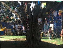 quanto custa day care em são paulo no Pacaembu