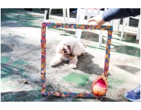 quanto custa espaço day care na Vila Sônia