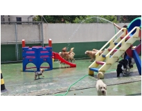 quanto custa hotéis para cachorro Jardim Fortaleza