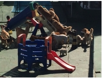 spa para cães em são paulo preço no Jardim Paulistano